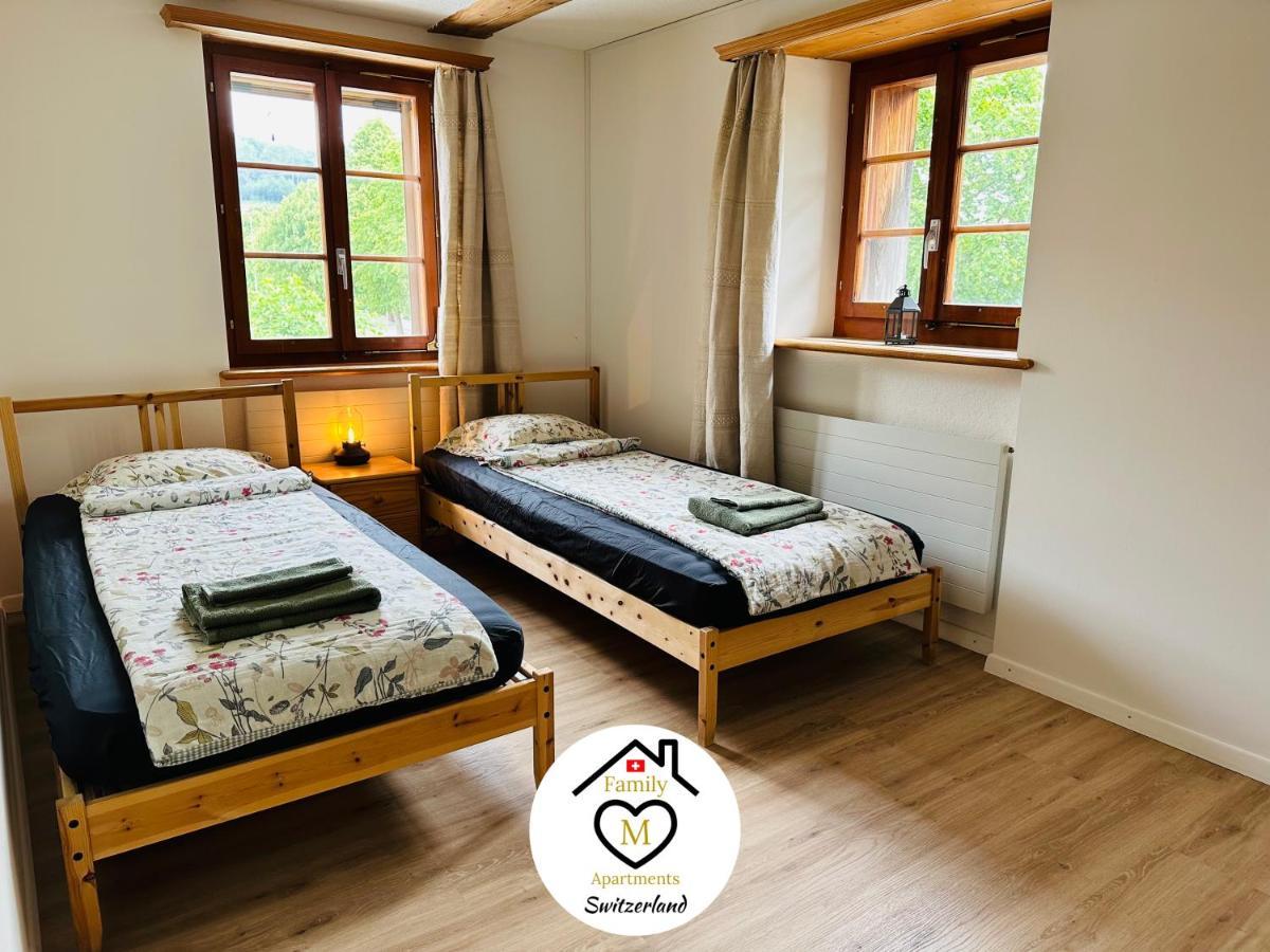 Family M Apartments 15 Kappel bei Olten Ngoại thất bức ảnh