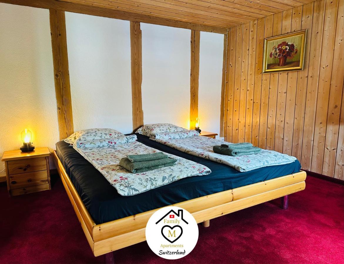 Family M Apartments 15 Kappel bei Olten Ngoại thất bức ảnh
