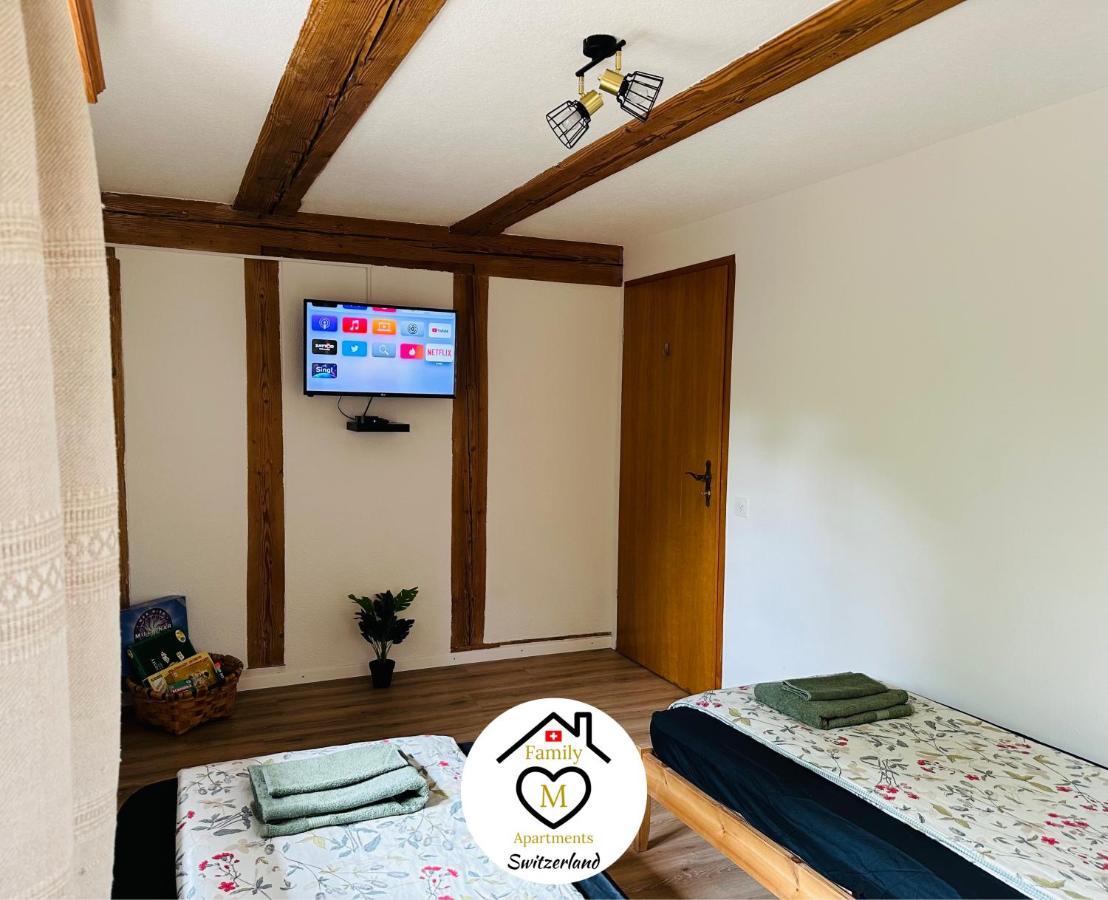 Family M Apartments 15 Kappel bei Olten Ngoại thất bức ảnh