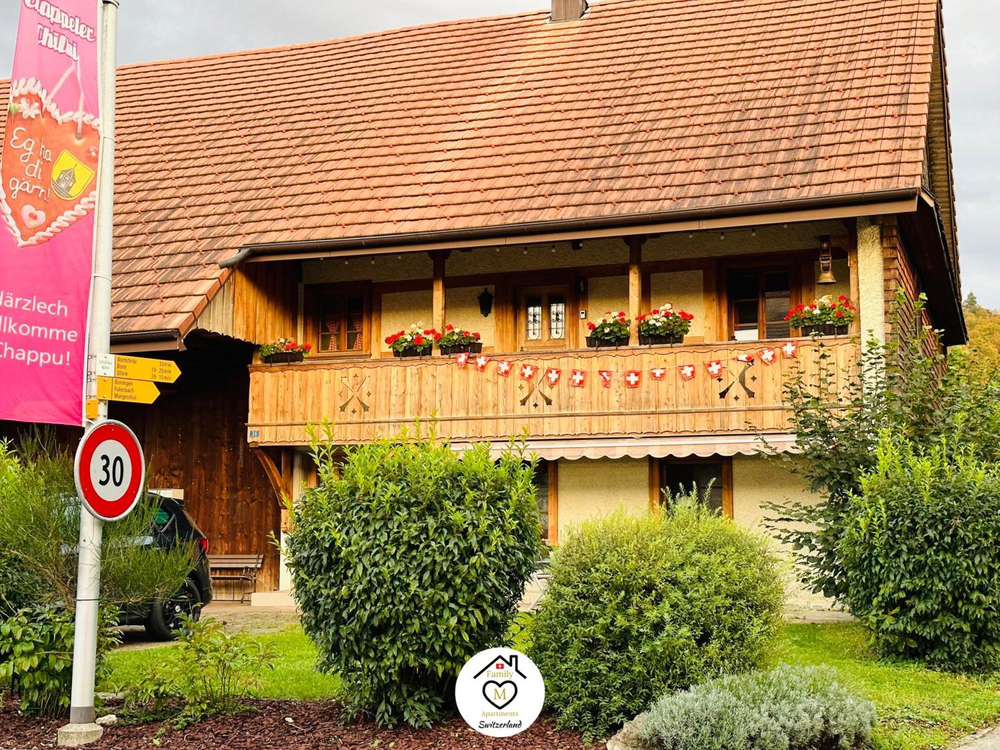 Family M Apartments 15 Kappel bei Olten Ngoại thất bức ảnh